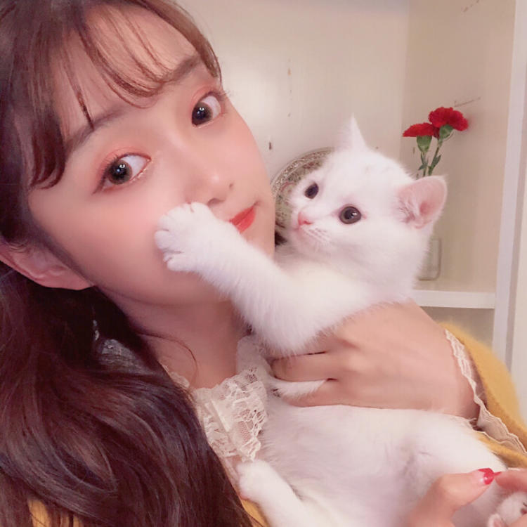 四乃森苍紫（身份：御庭番众前任首领、“天才忍者”） - 4K超清影视在线观看 - 网络看电影